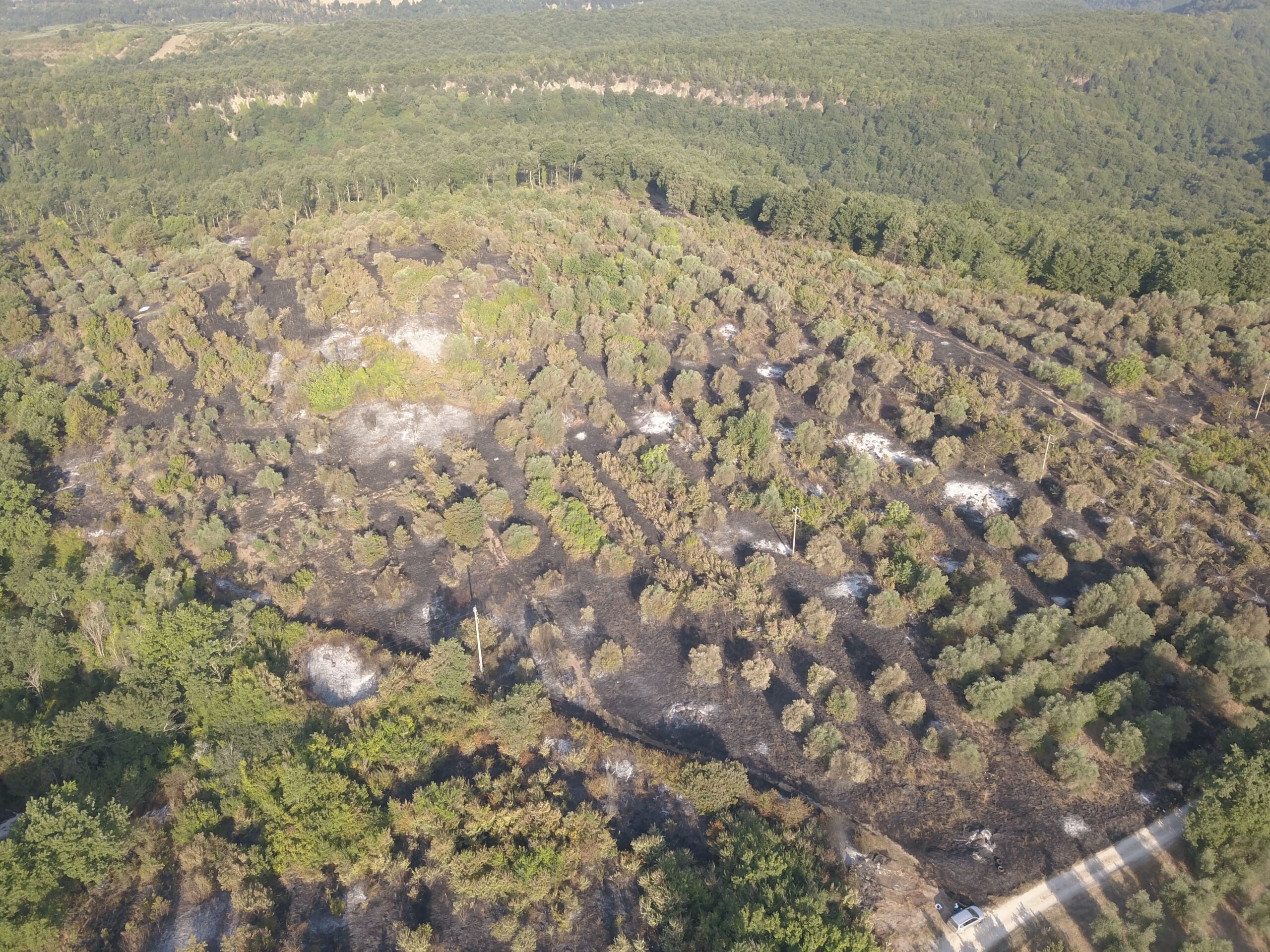 L'incendio a Faleria, zona Castel Paterno - Foto Maurizio Pennacchio per Il Nuovo Magazine