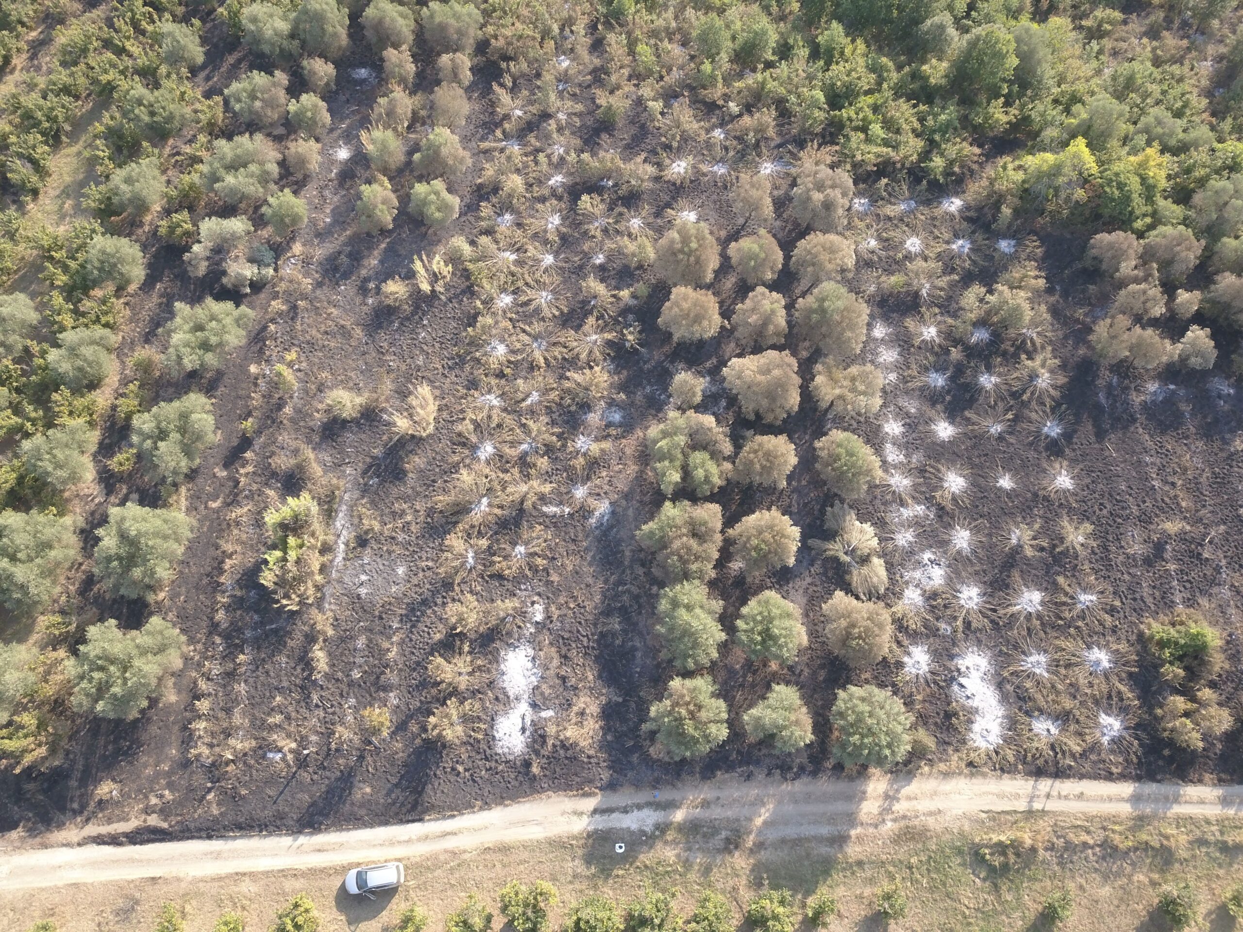 L'incendio a Faleria, zona Castel Paterno - Foto Maurizio Pennacchio per Il Nuovo Magazine