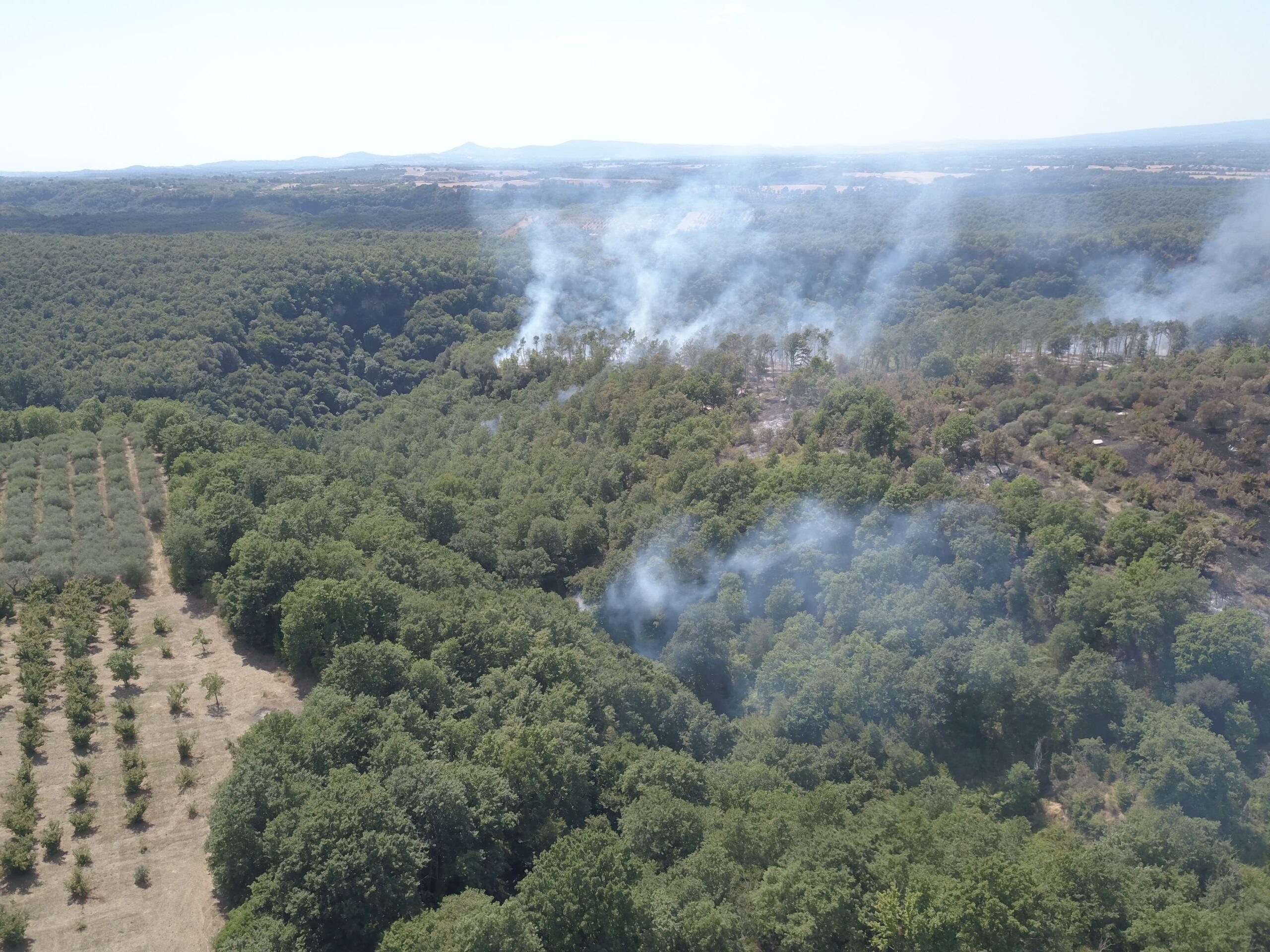 L'incendio a Faleria, zona Castel Paterno - Foto Maurizio Pennacchio per Il Nuovo Magazine