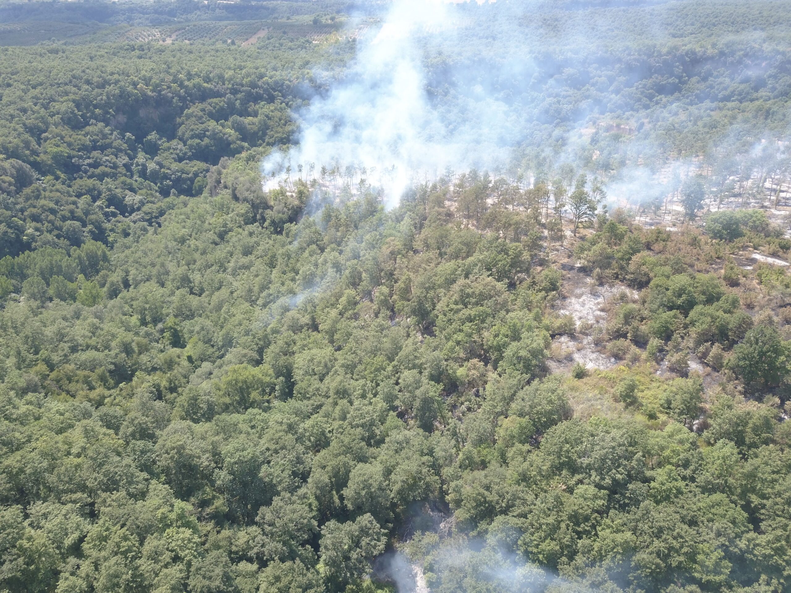 L'incendio a Faleria, zona Castel Paterno - Foto Maurizio Pennacchio per Il Nuovo Magazine