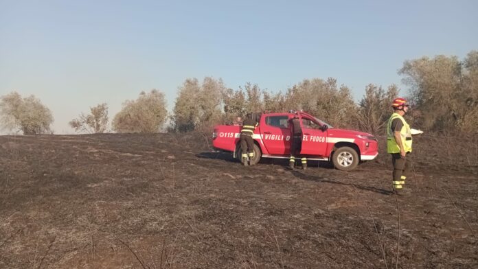 L'incendio a Faleria, in zona Castel Paterno - Foto Il Nuovo Magazine