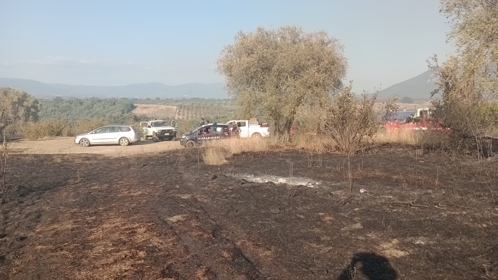 L'incendio a Faleria, in zona Castel Paterno - Foto Il Nuovo Magazine